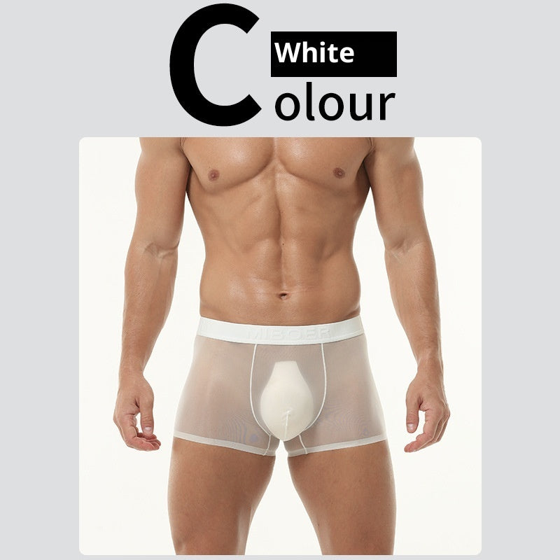 Men's Transparent Ice Silk Underwear - Thin, Breathable, Traceless