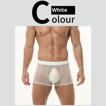Men's Transparent Ice Silk Underwear - Thin, Breathable, Traceless
