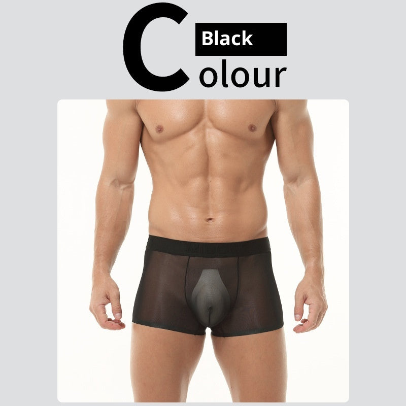 Men's Transparent Ice Silk Underwear - Thin, Breathable, Traceless