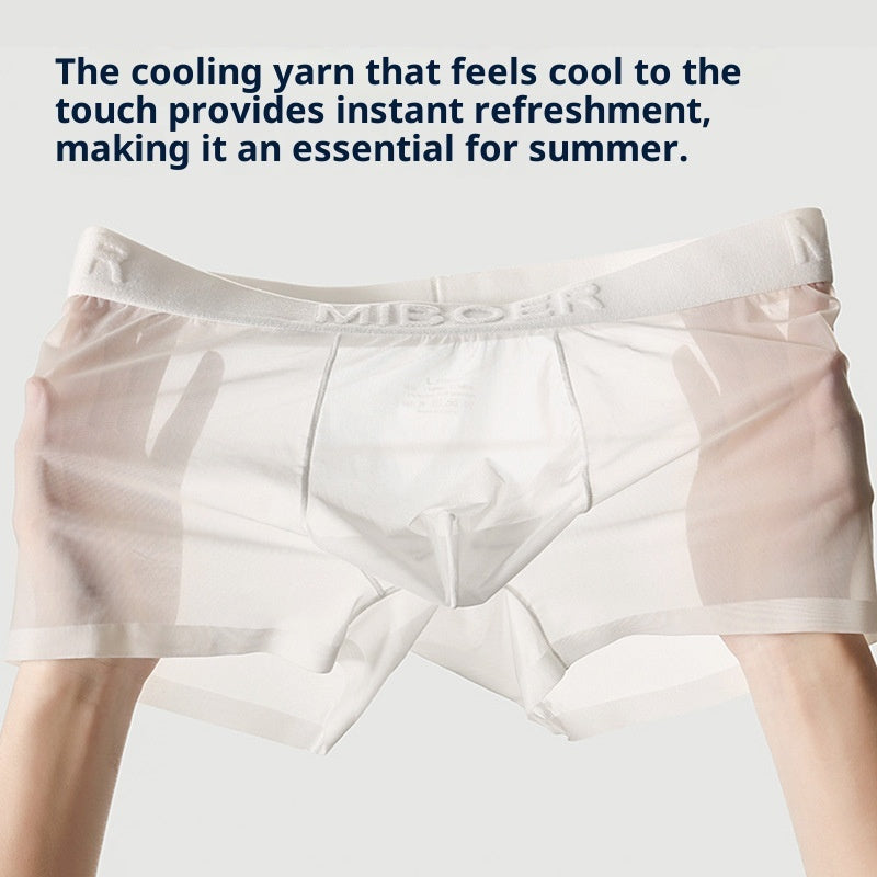Men's Transparent Ice Silk Underwear - Thin, Breathable, Traceless